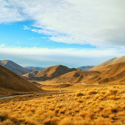 New Zealand landscape