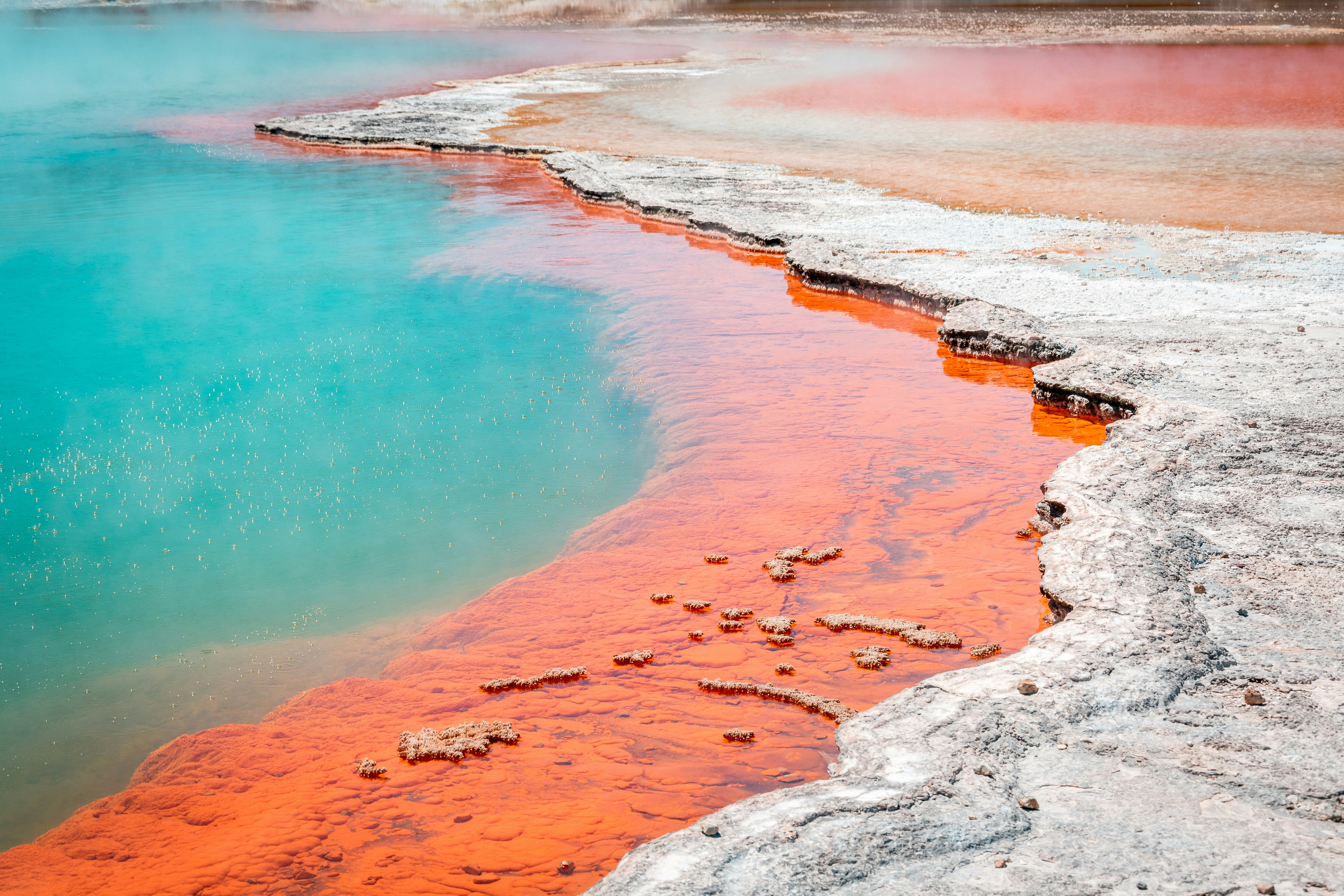 Rotorua